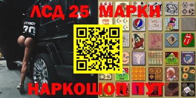 крисы Аргун