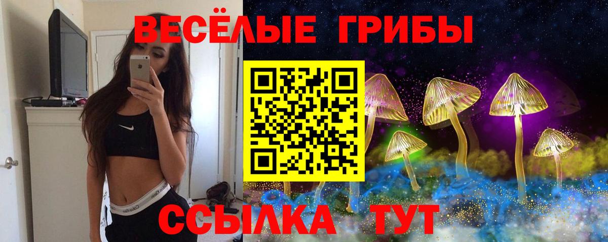 Псилоцибиновые грибы прущие грибы  Вход с VPN  Белебей 
