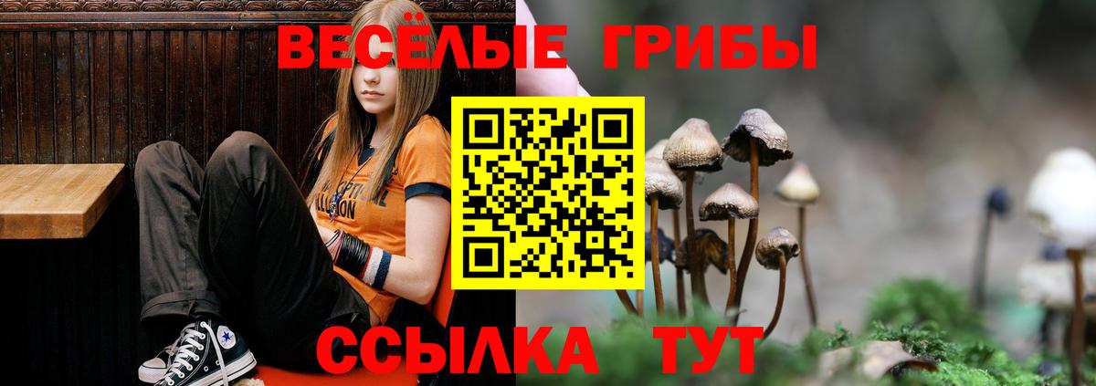 Галлюциногенные грибы Psilocybine cubensis Белебей